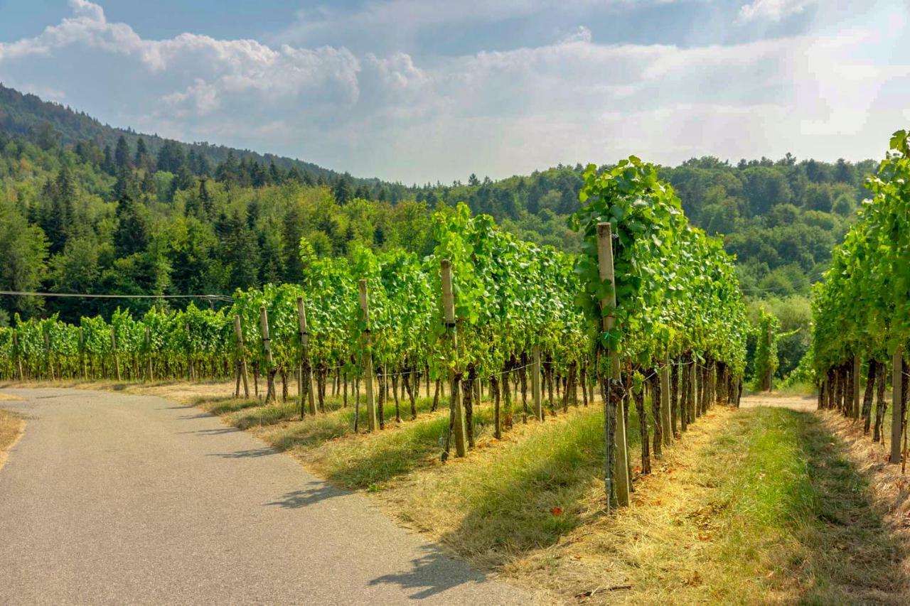Pension Panoramablick Durbach Luaran gambar